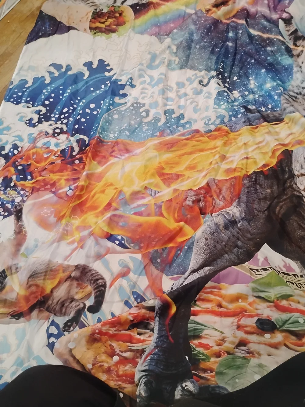 Source Unknown Multicolor Cosmic Cat & T-Rex Shower Curtain